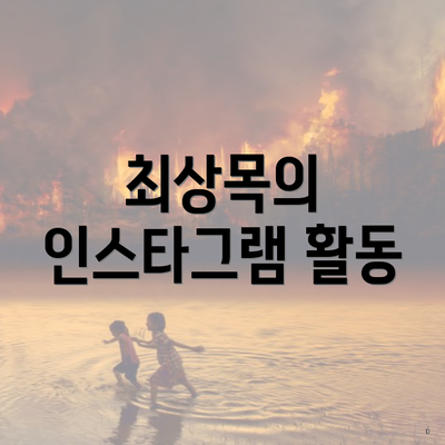 최상목의 인스타그램 활동