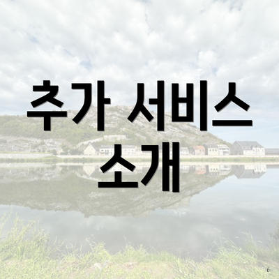 추가 서비스 소개