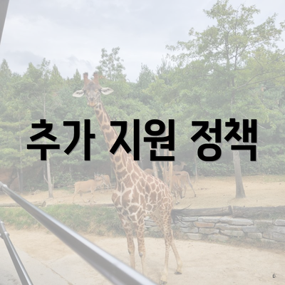 추가 지원 정책