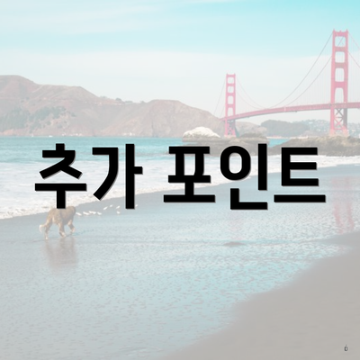추가 포인트