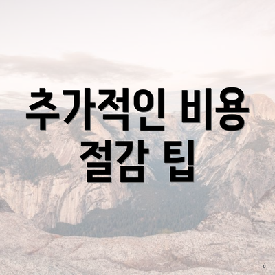 추가적인 비용 절감 팁