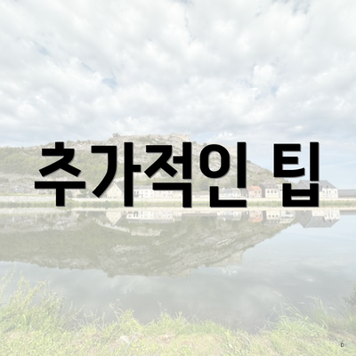 추가적인 팁