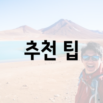 추천 팁