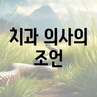 치과 의사의 조언