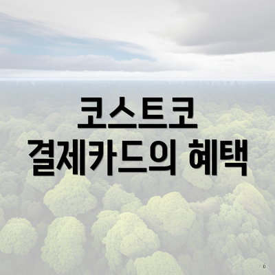 코스트코 결제카드의 혜택