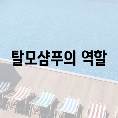 탈모샴푸의 역할