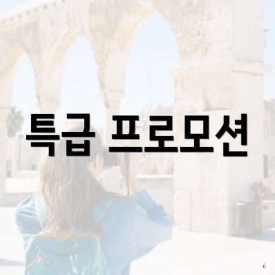 특급 프로모션