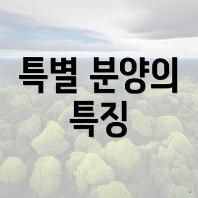 특별 분양의 특징