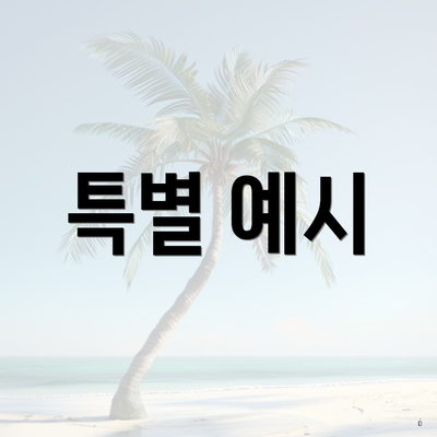 특별 예시