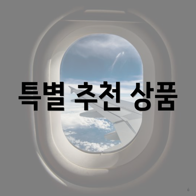 특별 추천 상품