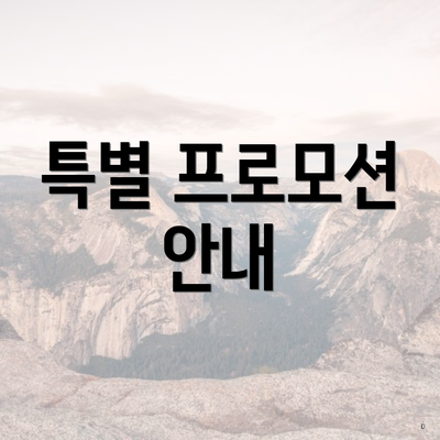 특별 프로모션 안내