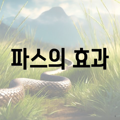 파스의 효과