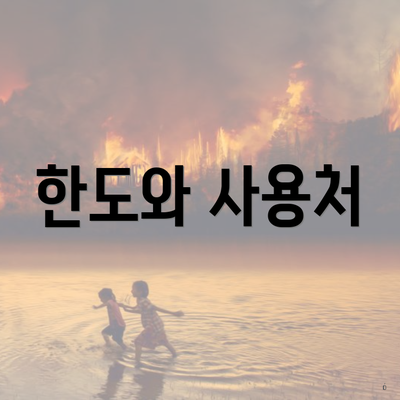 한도와 사용처