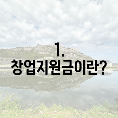 1. 창업지원금이란?