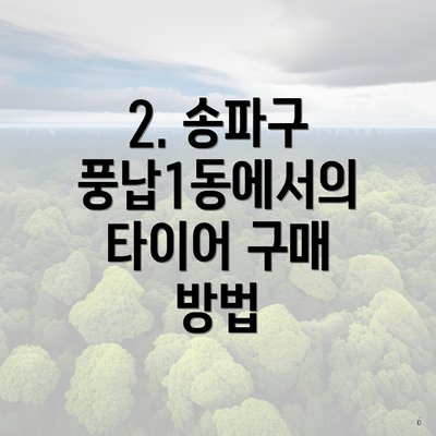 2. 송파구 풍납1동에서의 타이어 구매 방법
