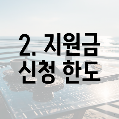 2. 지원금 신청 한도