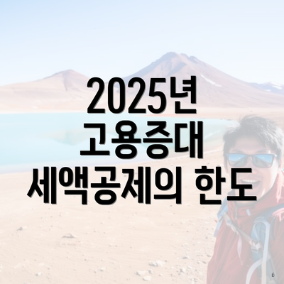 2025년 고용증대 세액공제의 한도