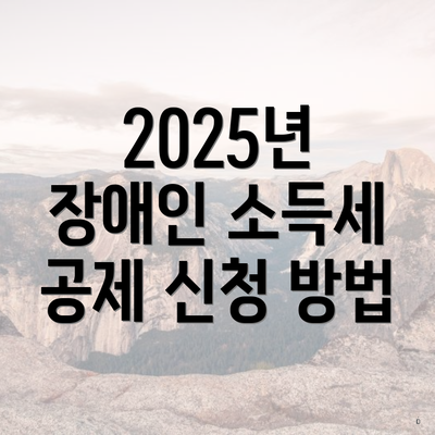 2025년 장애인 소득세 공제 신청 방법
