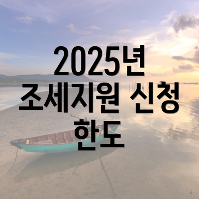 2025년 조세지원 신청 한도