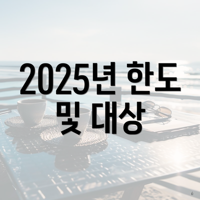 2025년 한도 및 대상