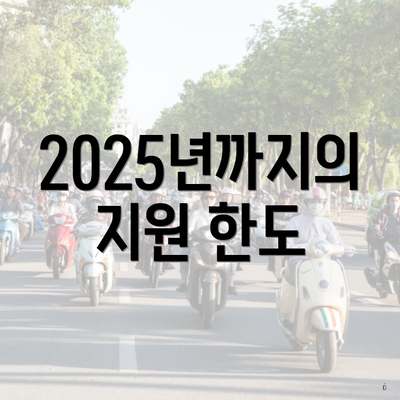 2025년까지의 지원 한도