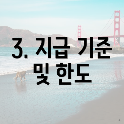 3. 지급 기준 및 한도