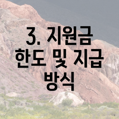 3. 지원금 한도 및 지급 방식