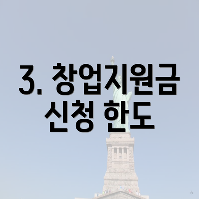 3. 창업지원금 신청 한도