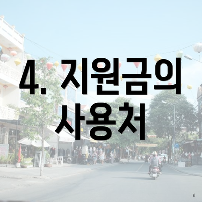 4. 지원금의 사용처