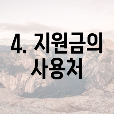 4. 지원금의 사용처