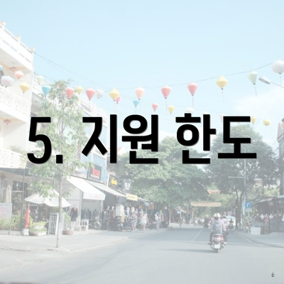 5. 지원 한도