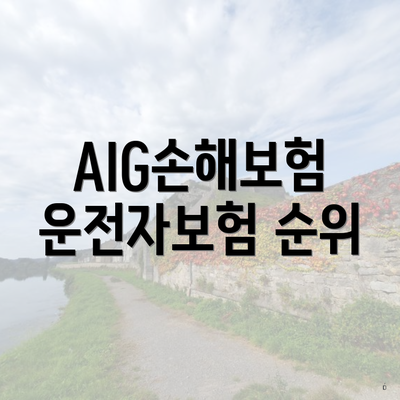 AIG손해보험 운전자보험 순위