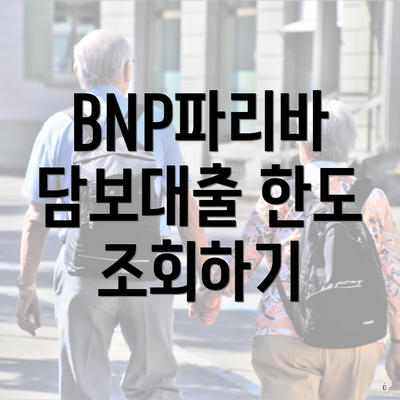 BNP파리바 담보대출 한도 조회하기