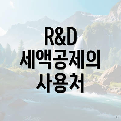 R&D 세액공제의 사용처