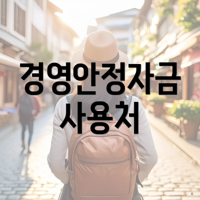 경영안정자금 사용처