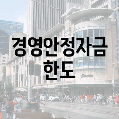 경영안정자금 한도