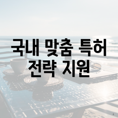 국내 맞춤 특허 전략 지원