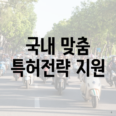 국내 맞춤 특허전략 지원