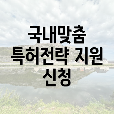 국내맞춤 특허전략 지원 신청