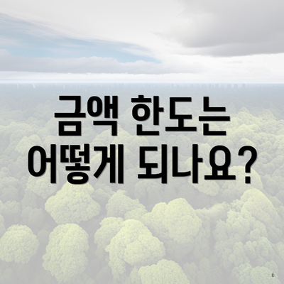 금액 한도는 어떻게 되나요?