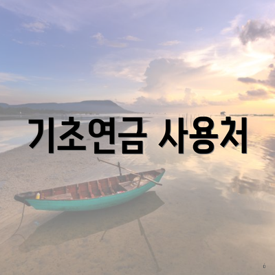 기초연금 사용처