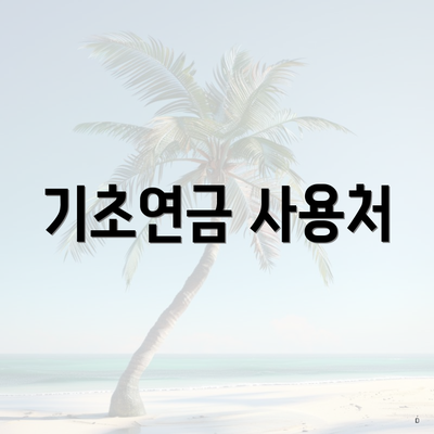 기초연금 사용처