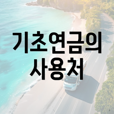 기초연금의 사용처