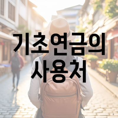 기초연금의 사용처