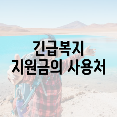 긴급복지 지원금의 사용처