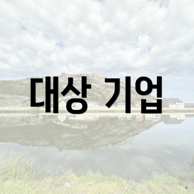 대상 기업