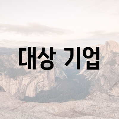 대상 기업