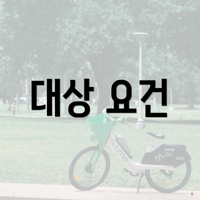 대상 요건