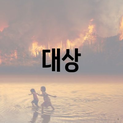 대상