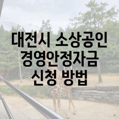 대전시 소상공인 경영안정자금 신청 방법